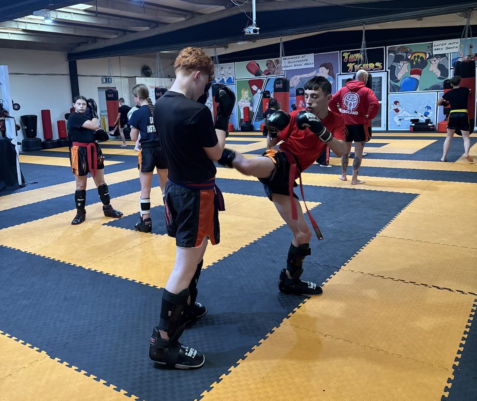 Twin Tigers training